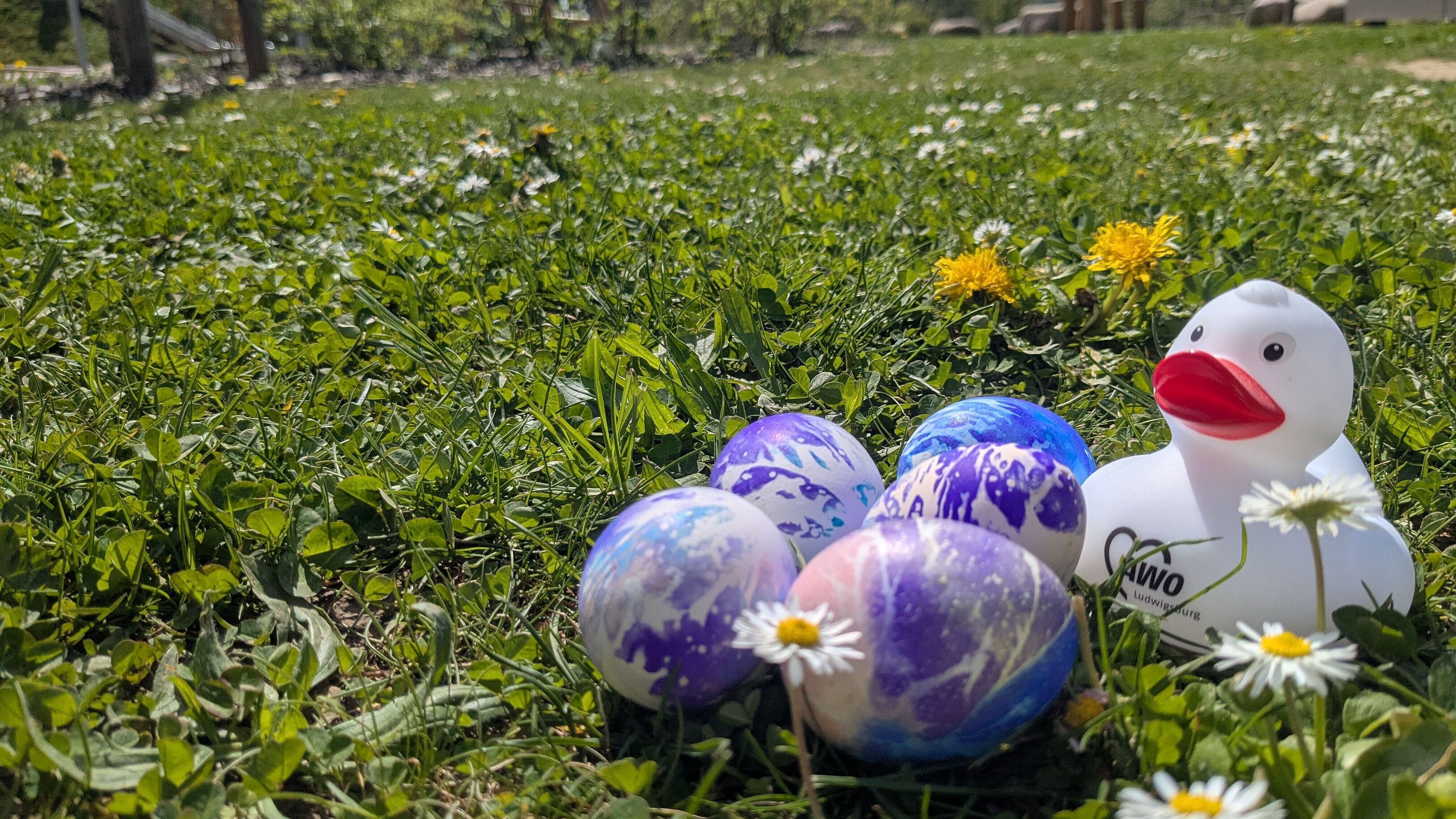 AWO Ente im Osternest