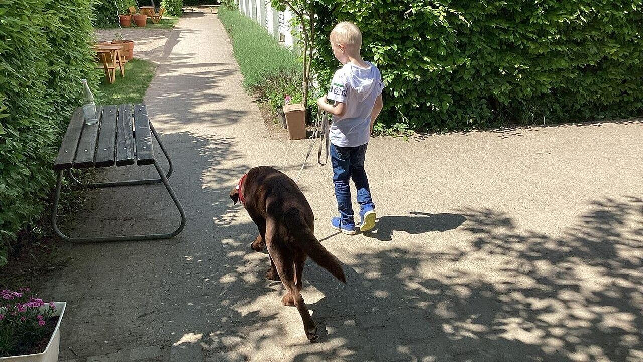 Therapiehund Mo in der Krachmacherstraße