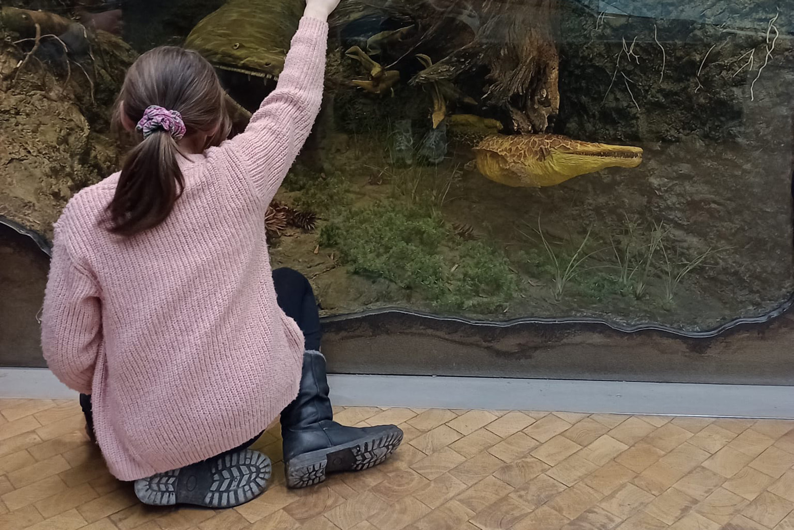 Viel zu entdecken gab es im Naturkundemuseum beim Ausflug der SPFH